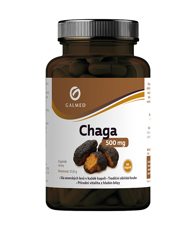 Chaga 500mg Galmed cps 90